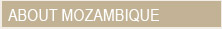 About Mozambique