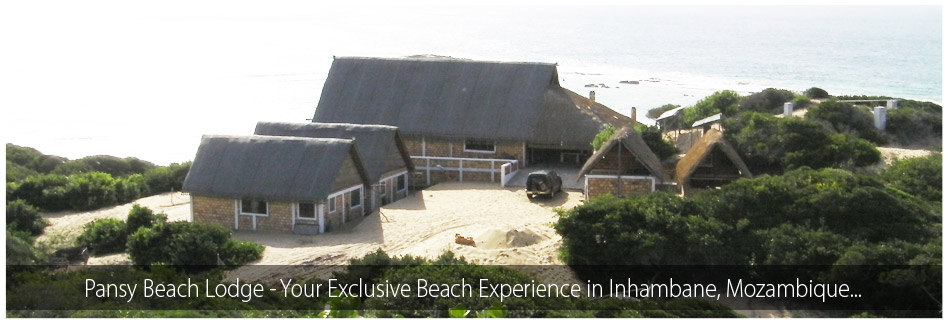 Pansy Beach Lodge