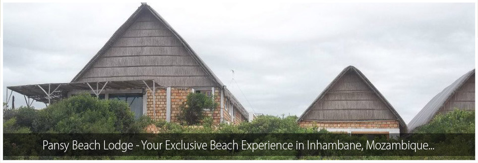 Pansy Beach Lodge